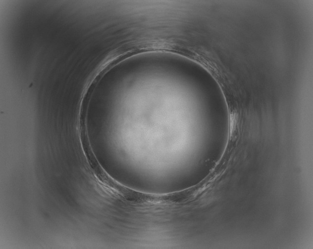 X0000074000195200608211423