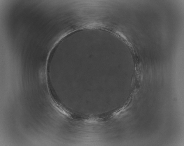 X0000074000196200608211423