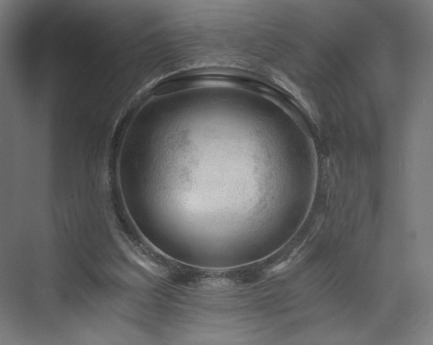 X0000074000203200608211422