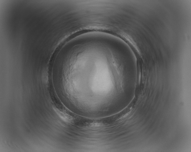 X0000074000204200608211422