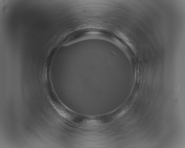 X0000074000205200608211422