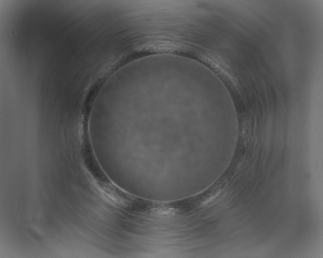 X0000074000206200608211422