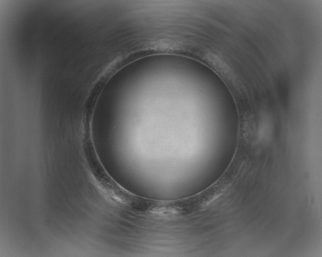 X0000074000208200608211422
