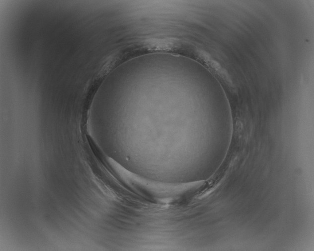 X0000074000209200608211422