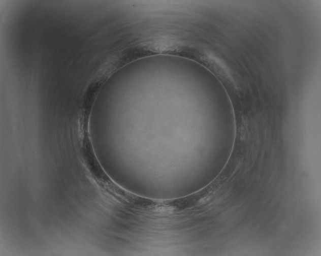 X0000074000210200608211422