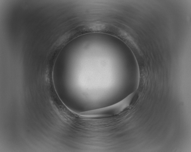 X0000074000212200608211422