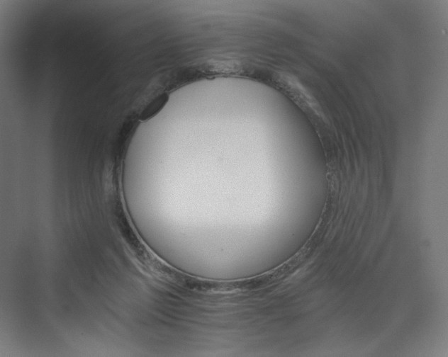 X0000074000213200608211422