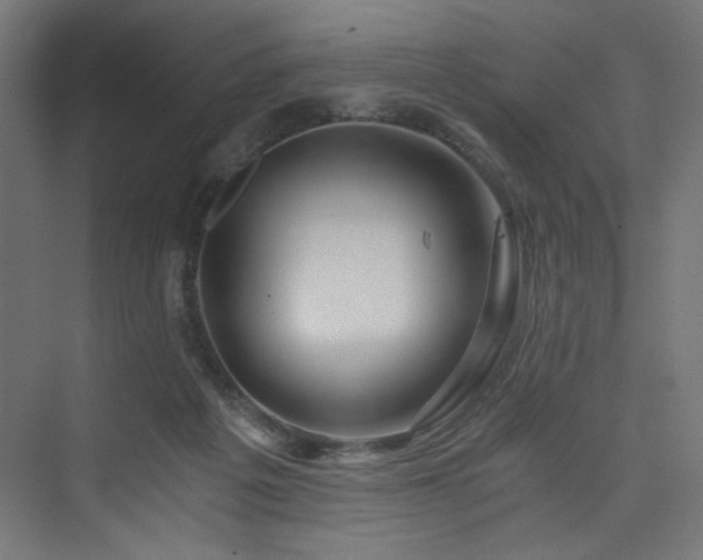 X0000074000217200608211422