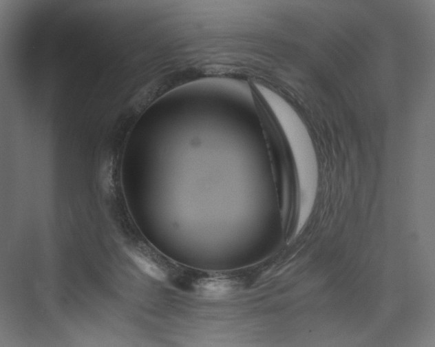 X0000074000219200608211422