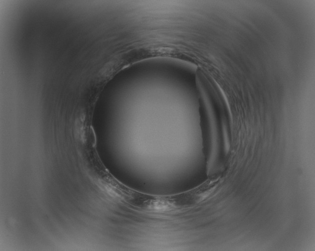 X0000074000223200608211422