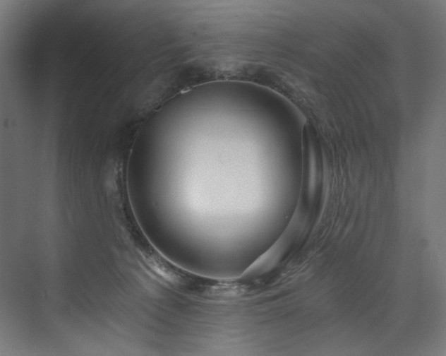 X0000074000225200608211422