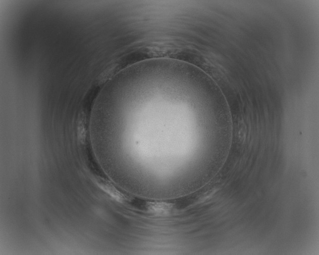 X0000074000226200608211422