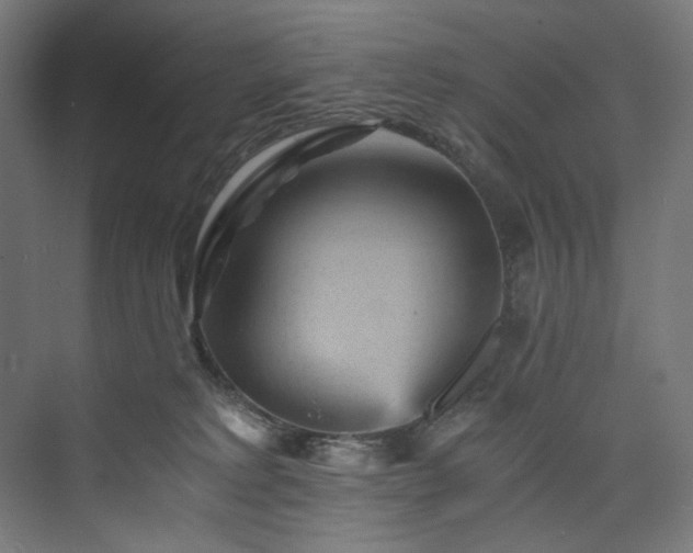 X0000074000229200608211422
