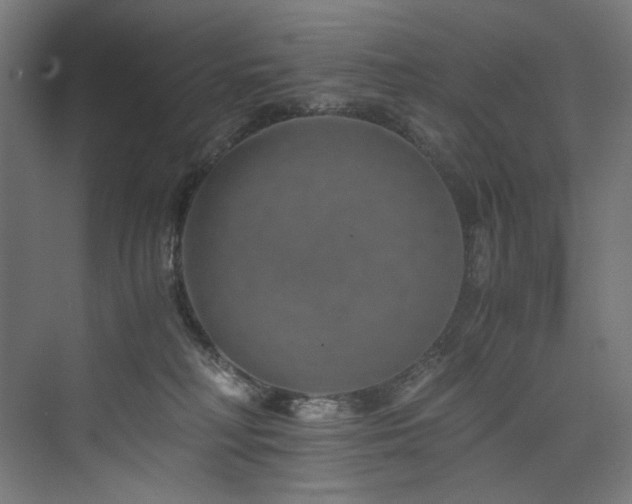 X0000074000230200608211422