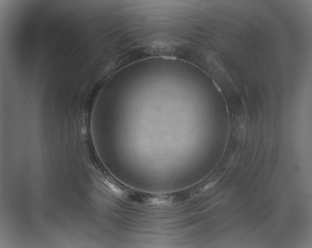 X0000074000232200608211422