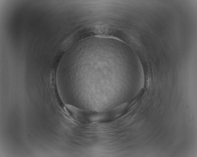 X0000074000233200608211422