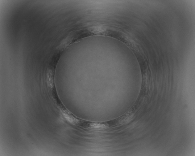 X0000074000234200608211422