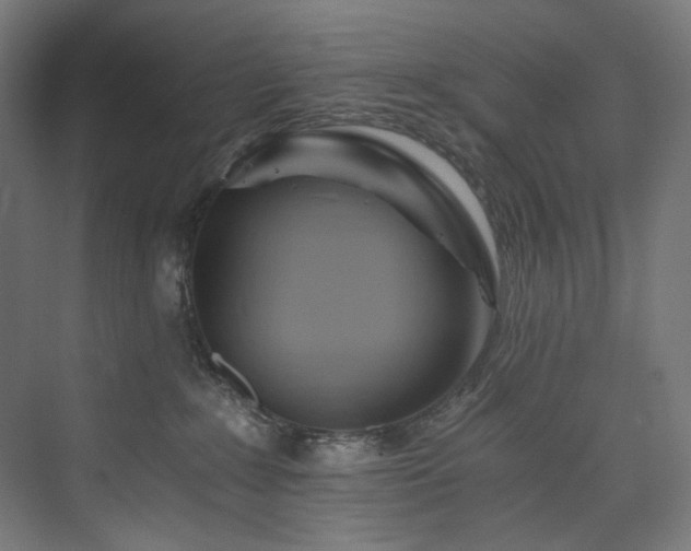 X0000074000235200608211422
