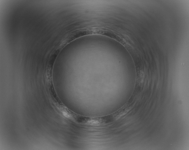 X0000074000236200608211422