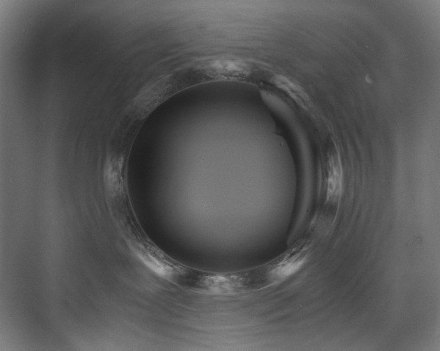 X0000074000239200608211422