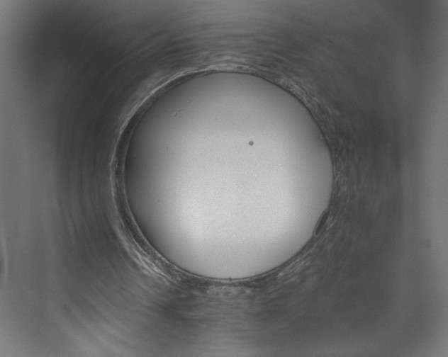 X0000074000242200608211421