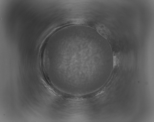 X0000074000243200608211421