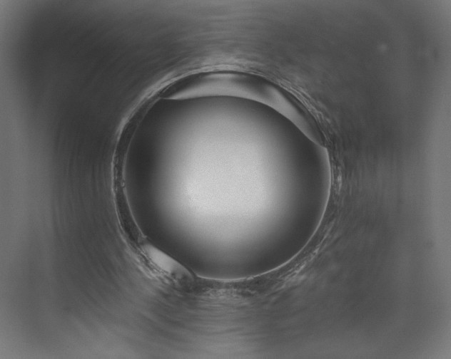 X0000074000244200608211421