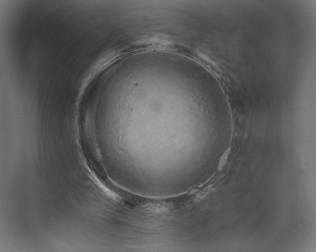 X0000074000245200608211421