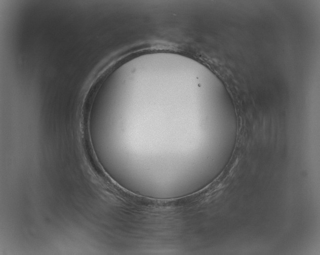 X0000074000247200608211421