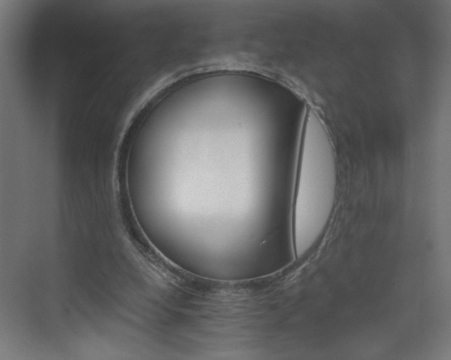 X0000074000248200608211421