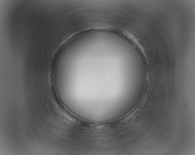 X0000074000249200608211421