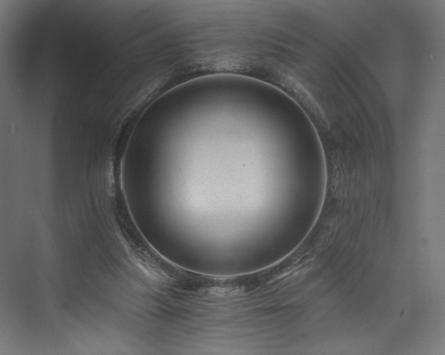 X0000074000251200608211421