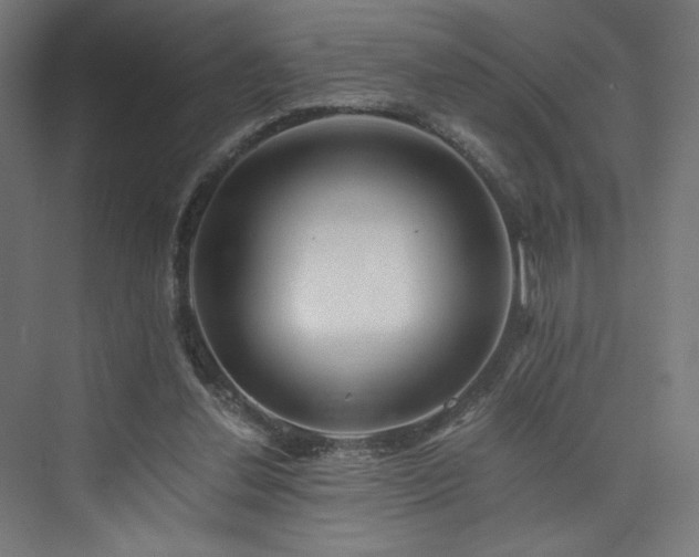 X0000074000252200608211421
