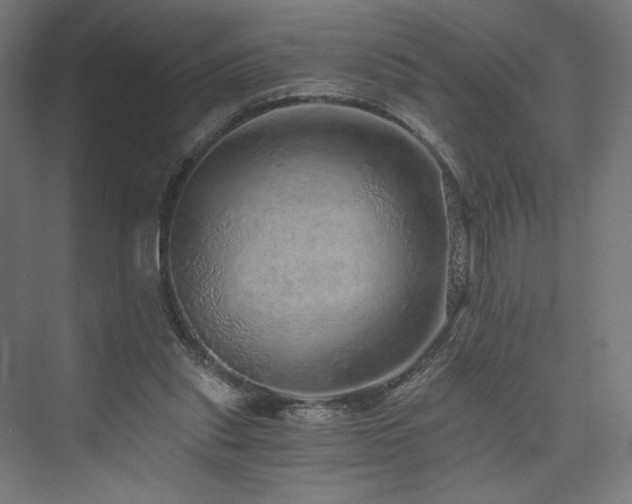 X0000074000253200608211421