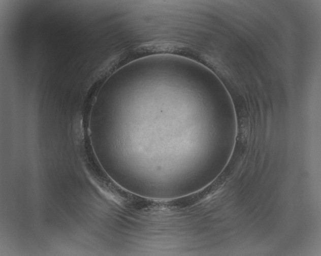 X0000074000254200608211421