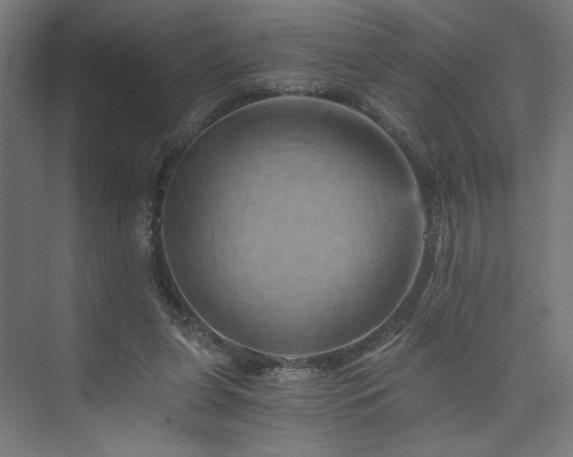 X0000074000255200608211421