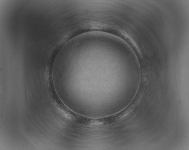X0000074000257200608211421