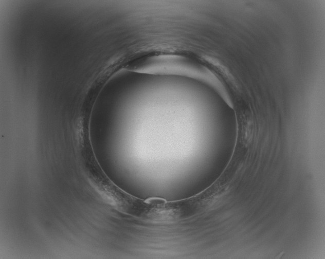 X0000074000260200608211421