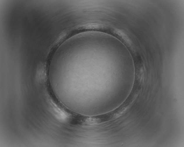 X0000074000261200608211421