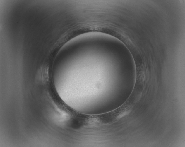 X0000074000262200608211421