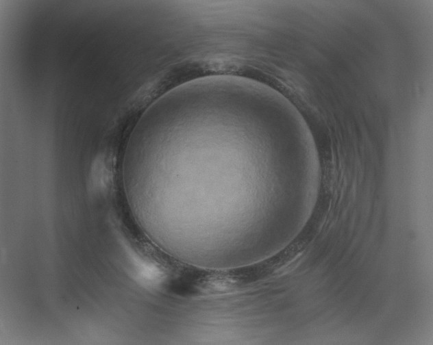 X0000074000263200608211421