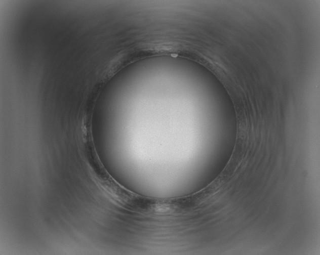 X0000074000264200608211421
