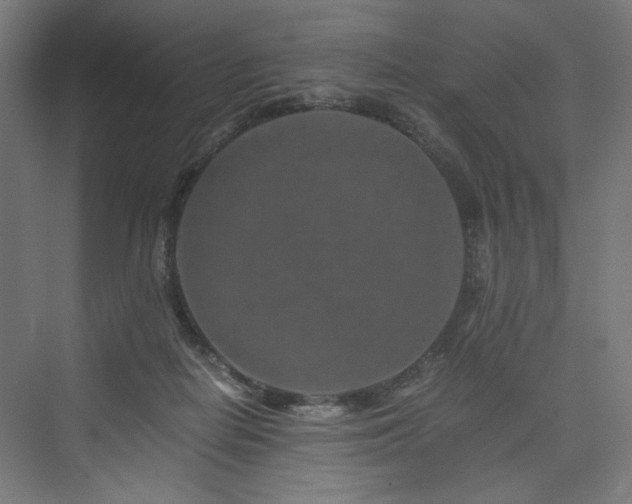 X0000074000266200608211421