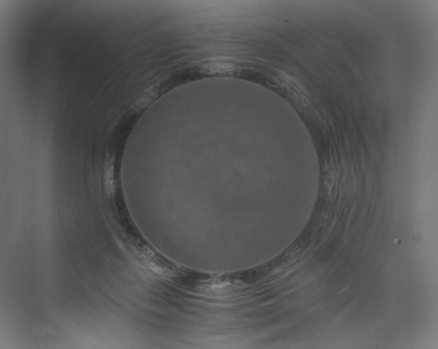 X0000074000267200608211421