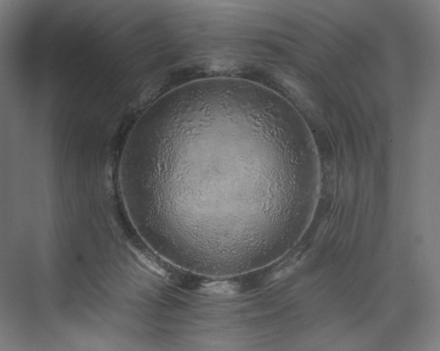 X0000074000269200608211421