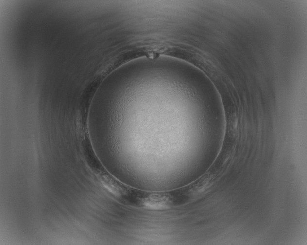 X0000074000270200608211421