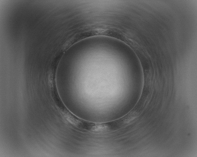 X0000074000274200608211422