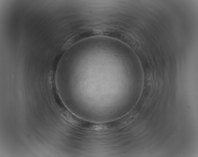 X0000074000275200608211422