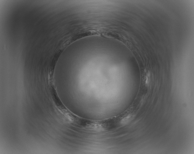 X0000074000276200608211422