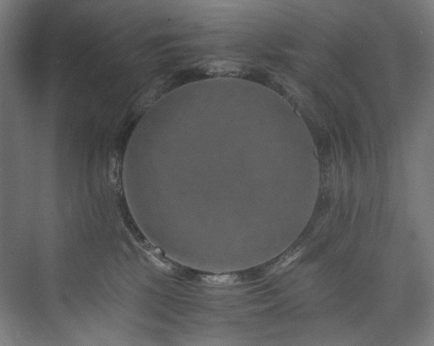 X0000074000281200608211422